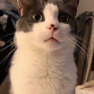 Meet your Posher, Kristin